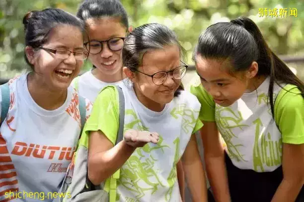 S AEIS備考攻略!如何在S AEIS考試取得高分?你需要知道