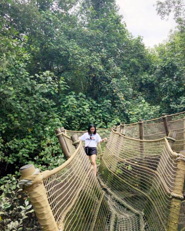 Sungei Buloh濕地保護區🌳 走進濕地，聆聽大自然的聲音🍃 徒步路線攻略、特點介紹、必踩打卡點