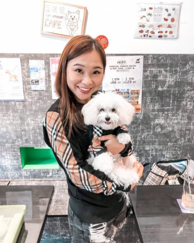 超治愈撸狗圣地 !和狗狗来一场亲密约会🐶 宠物聚集地,把这份可爱收藏起来💌