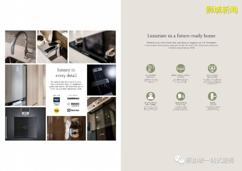 新加坡大學優勢和申請新