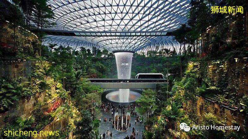 新生向导 我在新加坡会遇到什么情况?(安全篇)