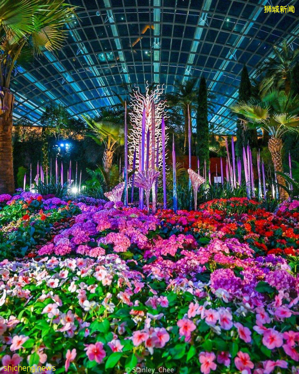 化身花仙子🧚‍♀新加坡9大花海打卡地🌷 天天鮮花盛放、美如仙境，出片率百分百