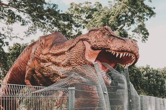 樟宜機場聖誕放大招！恐龍奇境、Air Tokidoki、雙層雪屋、卡丁車、恐龍蹦床，驚喜多多