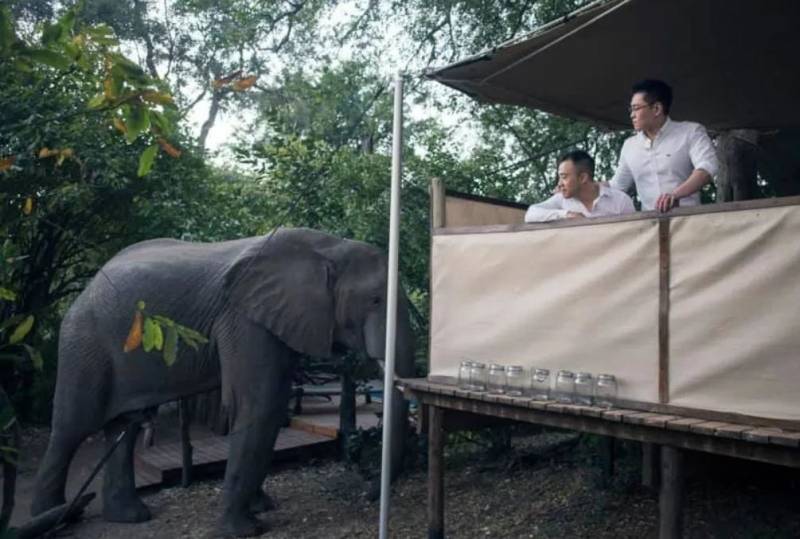 惊!新加坡酒店欢迎“男男”入住,网友们沸腾了