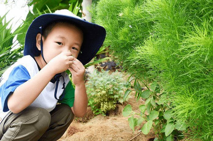 最新盘点!学校假期即将到来,新加坡这11个地方最适合打发孩子