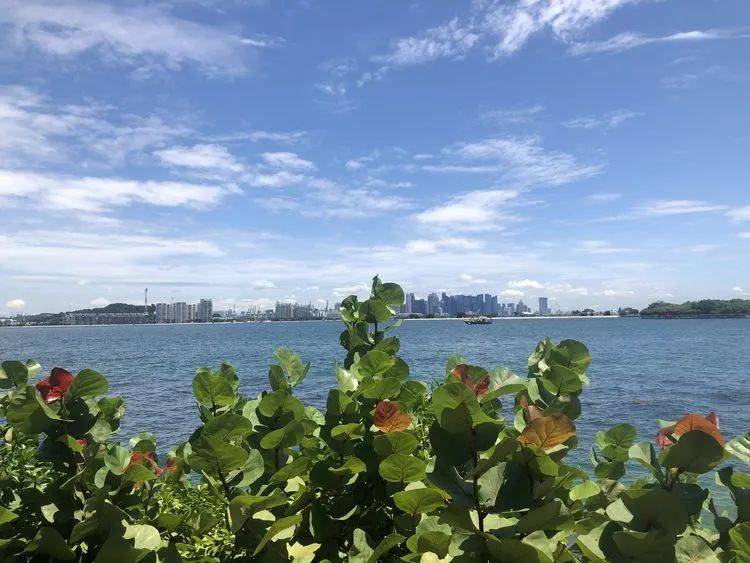 精彩国内游:新加坡南部岛屿休闲之旅