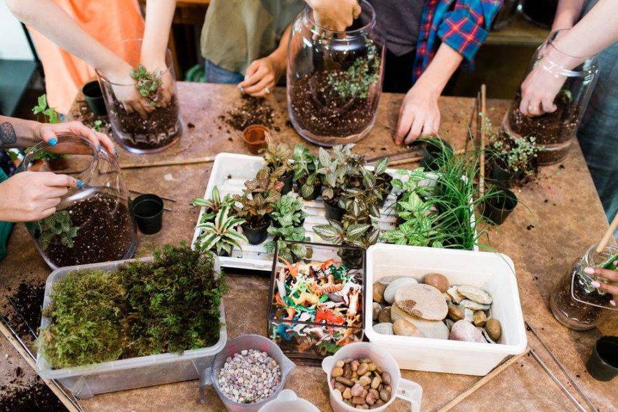 被新加坡媽媽種草!全島最全興趣班網站,手把手教你選離家近的