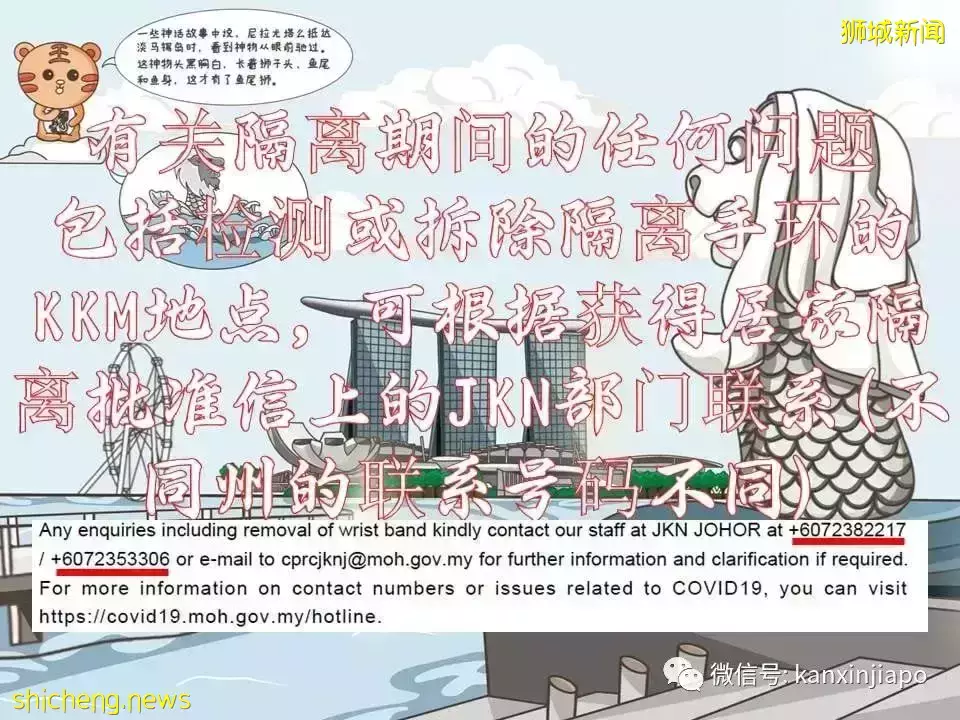 最新攻略！搶不到VTL車票，但還是想回馬國過年怎麽辦