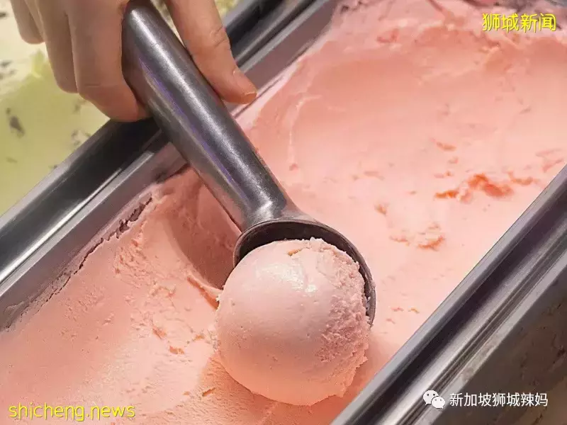 新加坡又一遛娃寶地!親子VR、網紅自拍館、火鍋自助