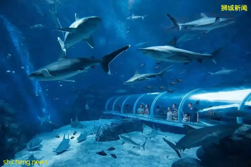 Go 旅城通票暑假旅游攻略:一天玩转新加坡圣淘沙岛