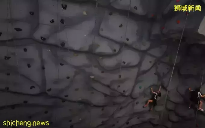 看起來每天都在玩，新加坡國際學校的娃們是怎麽學習的