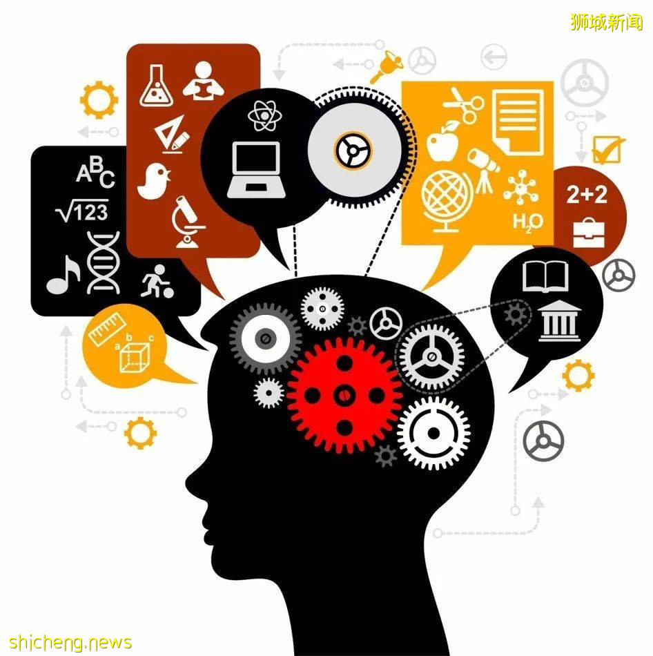 为什么新加坡的私立大学大多以商科为主?对商科不感兴趣怎么办