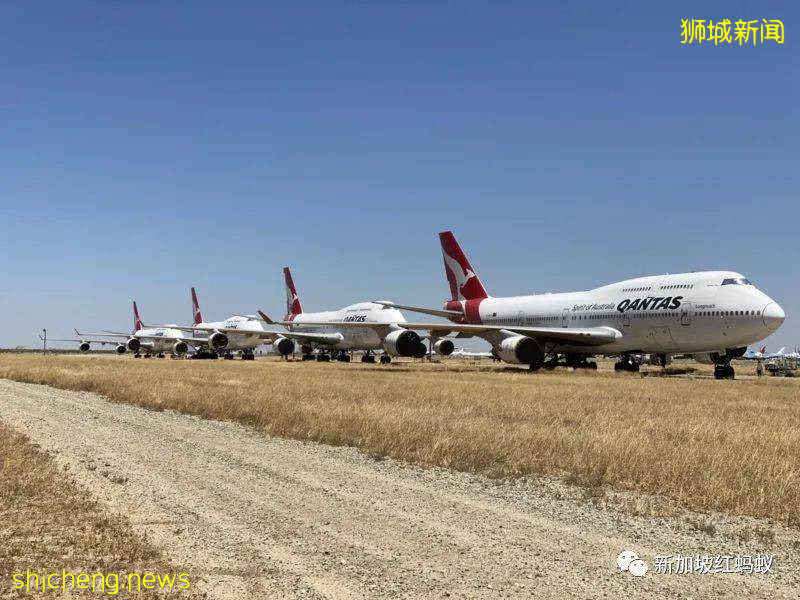 因疫情停飞在澳洲沙漠“休养”了一年多 新航A380终于回家啦