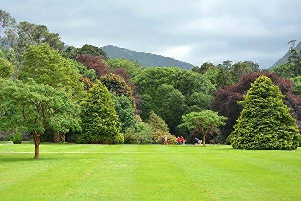 新加坡12月28日进入第三阶段,参与群组体育活动人数放宽至八人