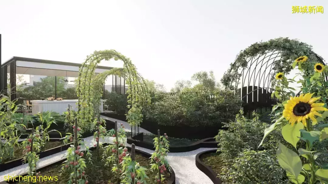 新加坡又出全景观公寓,示范了真正的花园式小区