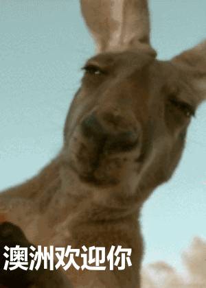 周末小“食”光12！快來康康“美食天堂”新加坡