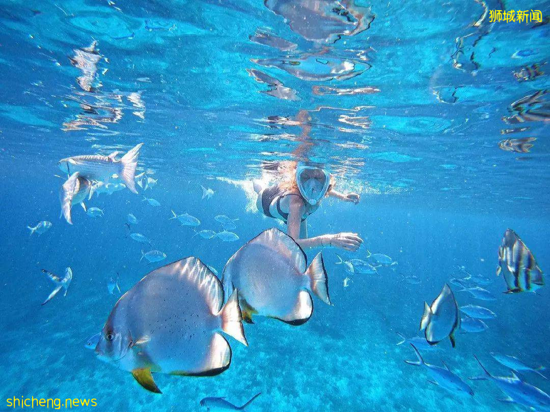 新加坡超棒的4個海灘，遛娃、放風筝、趕海、品美食