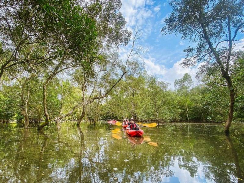 新加坡探險活動🔎 徒步冒險、荒廢秘境、陡峭山路!開啓刺激的戶外運動+探險模式