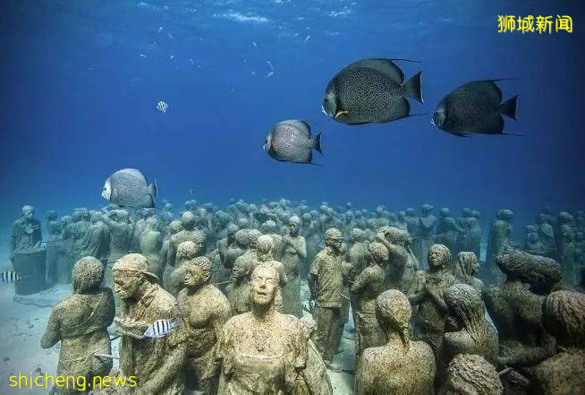 世界最大冰山要消失了?新加坡慌了!砸1000億自救