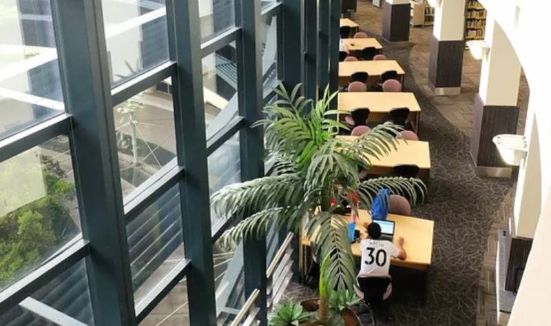 在南洋理工大學 NIE學院就讀對外漢語是一種怎樣的體驗