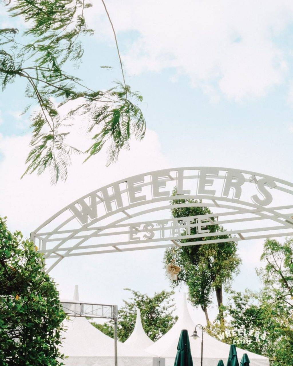 新加坡超大莊園咖啡廳“Wheeler's Estate”南洋複古風🤩 隱藏在城市裏的小綠洲!約會、聚餐、求婚絕佳地點✨