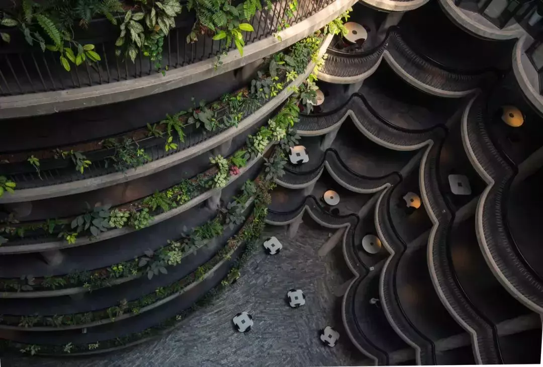 回首2021,關于新加坡的那些事兒