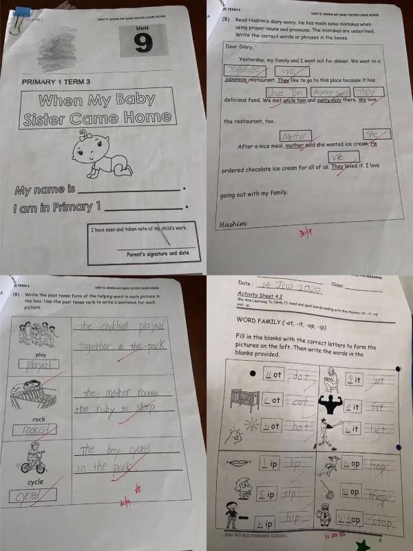 史上最全最新，新加坡小一學什麽