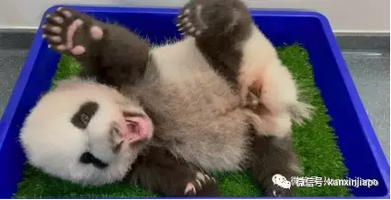 在新加坡也能“环游世界”,你差的只是这一份攻略