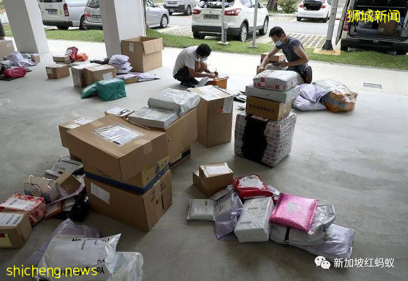 疫情期间我们一家三口在狮城当包裹送货员 才知道没那么简单
