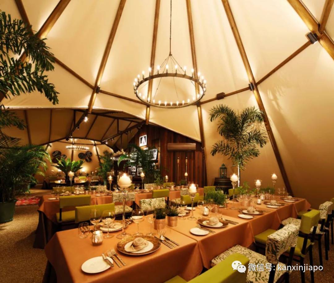 新加坡夜間野生動物園，現在可以搭帳篷吃晚餐了