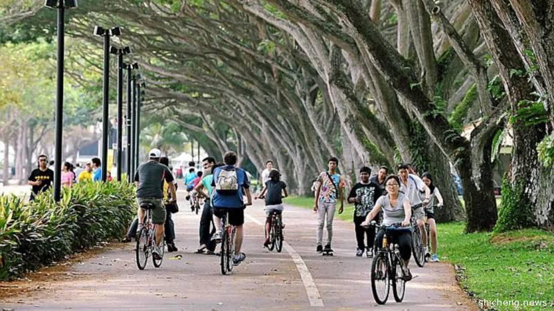 一文秒懂！在新加坡你还敢不戴口罩吗？罚你