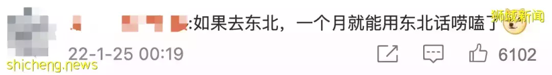 全網熱議！吳尊送娃去中國上學，張柏芝離開坡回上海定居！新加坡不香了