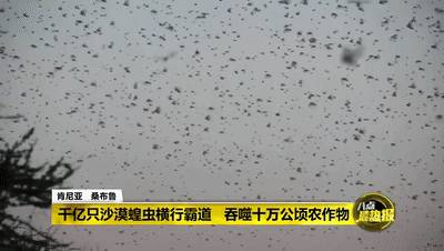 全球確診破700萬!2020,見證曆史的一年!