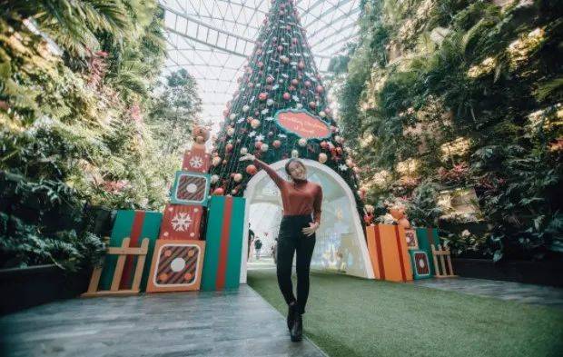 新加坡1月5日前將會結束的本地特色活動，長周末可以約起