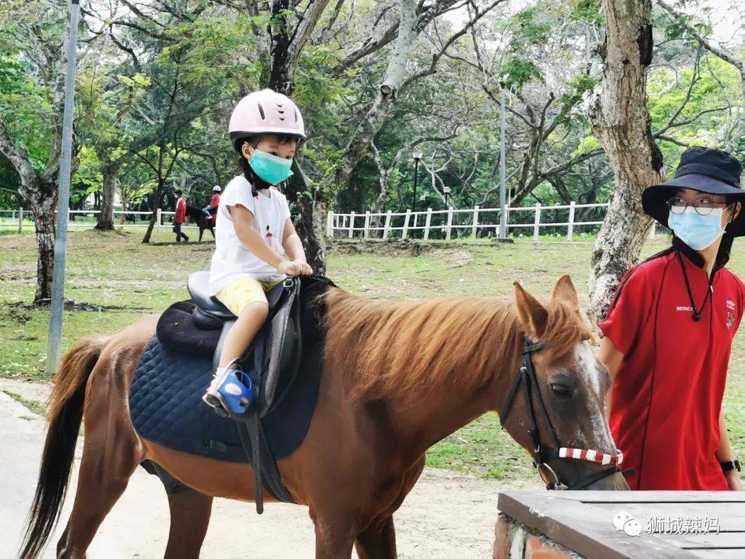 新加坡最好玩的海灘公園!趕海、騎馬、劃艇、樹籬迷宮、燒烤露營,超適合家庭出遊