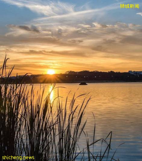 昨天，新加坡神仙晚霞刷屏朋友圈！這些地點觀賞效果炸裂