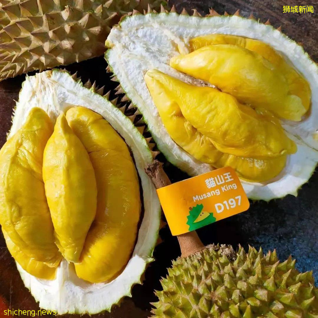 狮城榴梿季拉开序幕!该去哪里组个榴梿局呢