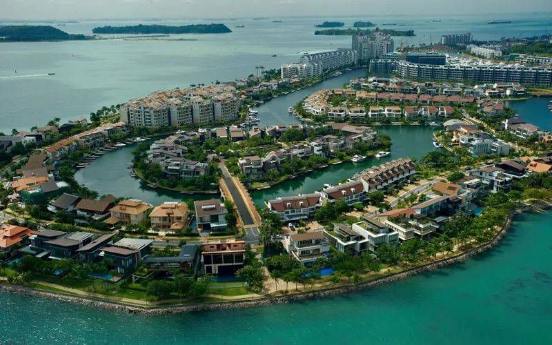 罕見!新加坡聖淘沙這條河變成了粉色,驚現大批死魚!39年創記錄暴雨太作了