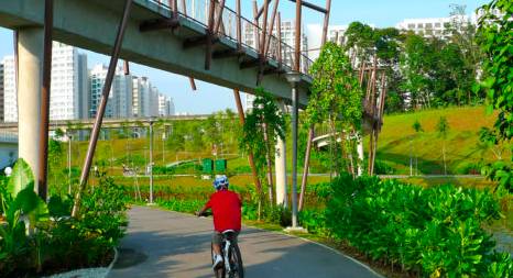 2021版新加坡隐秘小众骑行路线攻略!骑上自行车来探索这座熟悉的城市吧