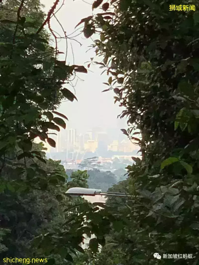 新加坡淪陷80周年紀念：人們遺忘了什麽，還記得些什麽