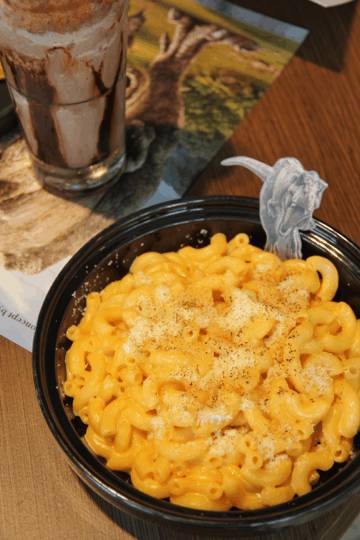 注意!恐龍出沒!侏羅紀公園“快閃”cafe首次登陸獅城,僅剩半個月