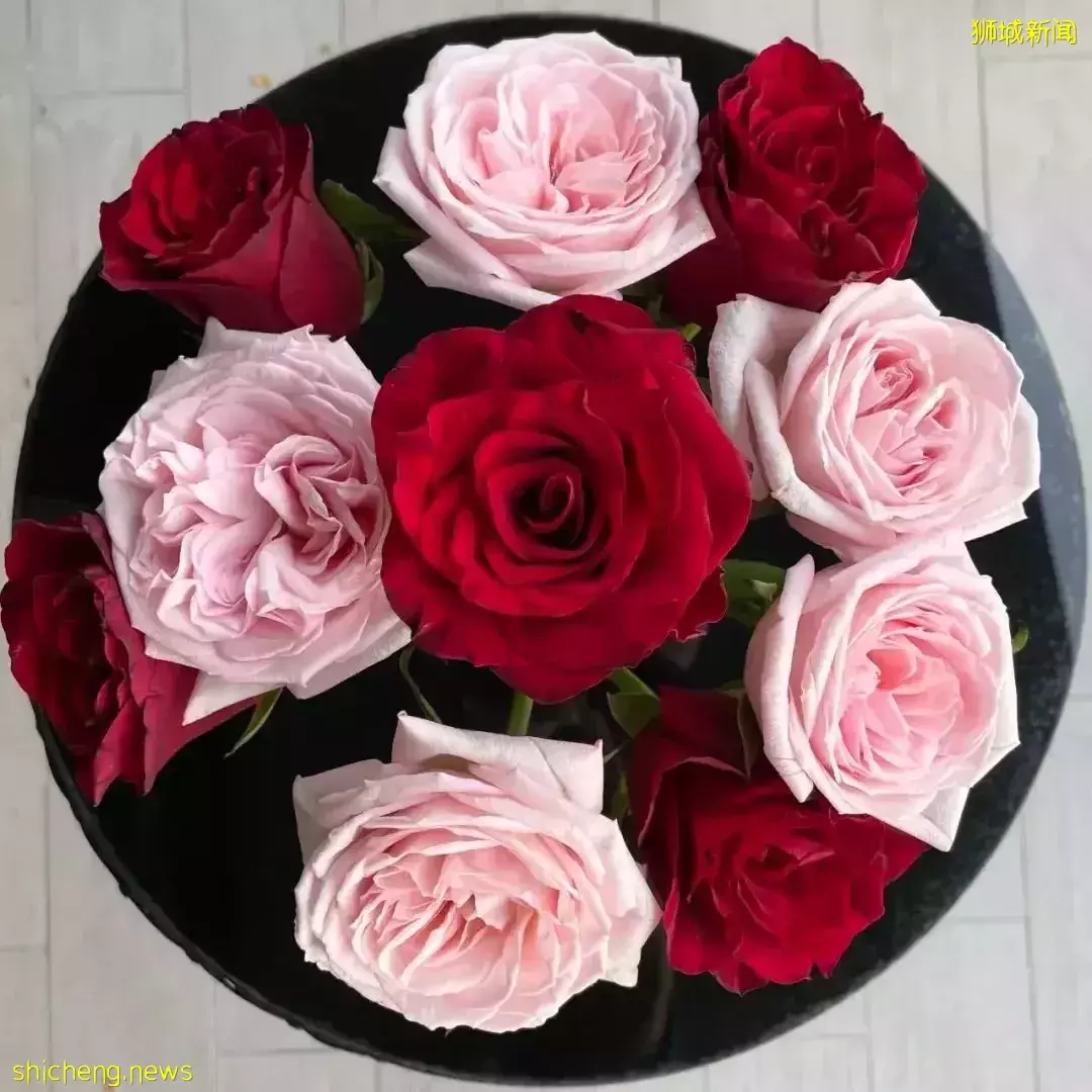 鮮花在熱帶也能養1個月？資深花友新加坡買花、養護大揭秘