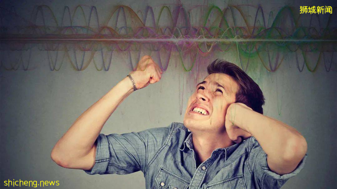 新傳媒藝人生日宴非法大聚會,13人共計罰款近萬新幣