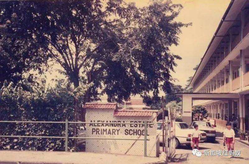 李顯龍總理夫人何晶就讀小學時，經曆了這些樂事與糗事