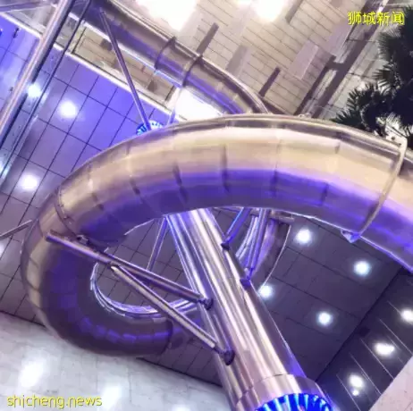 你以为的新加坡真的是你以为吗