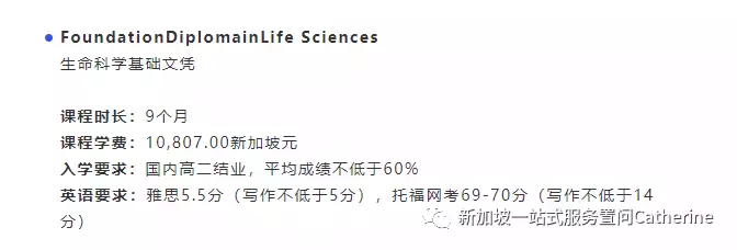 留學新加坡經常能聽到Diploma國際大一文憑到底是什麽