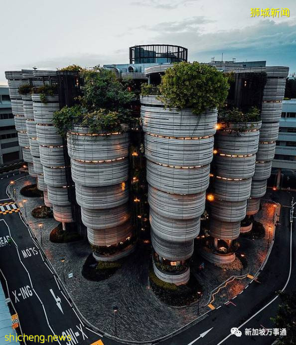 美如畫卷的新加坡，等你來!