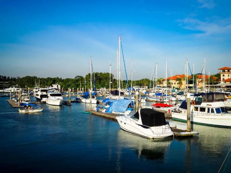 NTU 周邊的絕美拍照聖地,你不想去打卡嘛