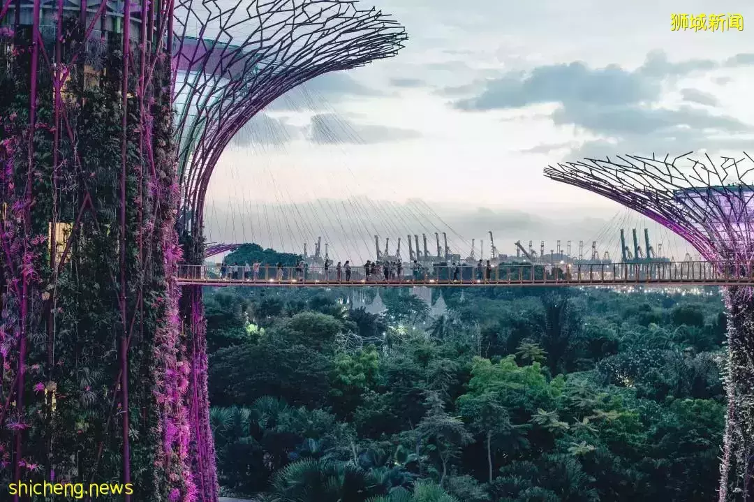 新加坡研究生報名4月截止!NUS&NTC共23學科名列全球前十