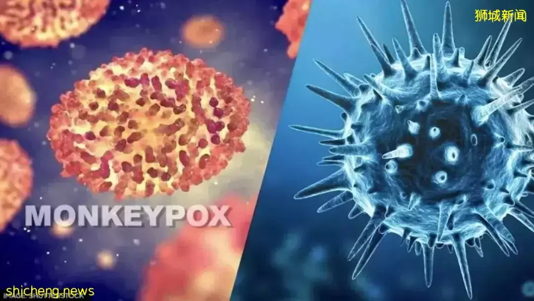 突发！新加坡过境旅客确诊猴痘，潜在密接13人！卫生部回应